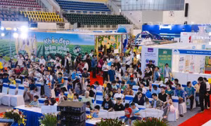 Tăng kiểm tra, giám sát: 'Chìa khóa' lấy lại niềm tin cho thị trường sữa