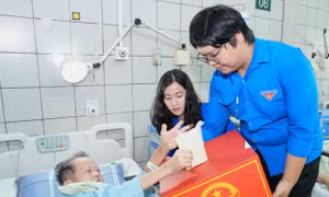 Những lá phiếu đặc biệt bên giường bệnh