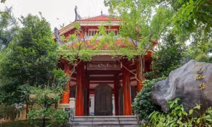 Đình chỉ giảng dạy, đục bỏ tên tiến sĩ dùng bằng giả