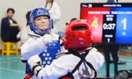 Taekwondo Hà Nội: 'Đãi cát tìm vàng' từ phong trào