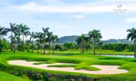 Việt Nam lần đầu đăng cai giải đấu thuộc Hiệp hội Golf trẻ Mỹ 