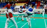 Taekwondo Hà Nội: Từ phong trào cơ sở đến khát vọng quốc tế