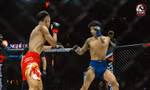 Dàn võ sĩ Việt - quốc tế tranh tài nảy lửa tại LION Championship 31