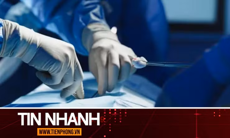 TIN NHANH: Bé 3 tuổi mất tích khi đi vườn cùng bà; Lần đầu cấy ghép thành công phổi lợn vào người