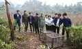 Thả 12 cá thể động vật quý hiếm về rừng