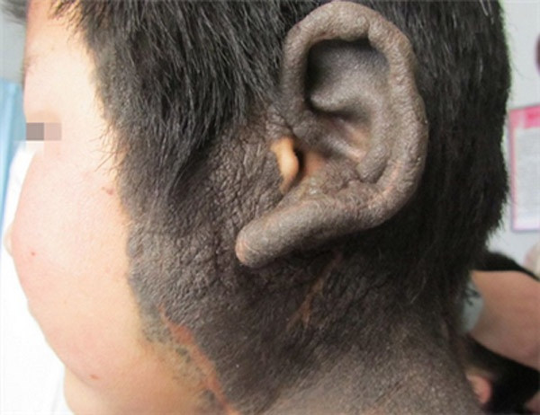 Ảnh minh họa: Internet