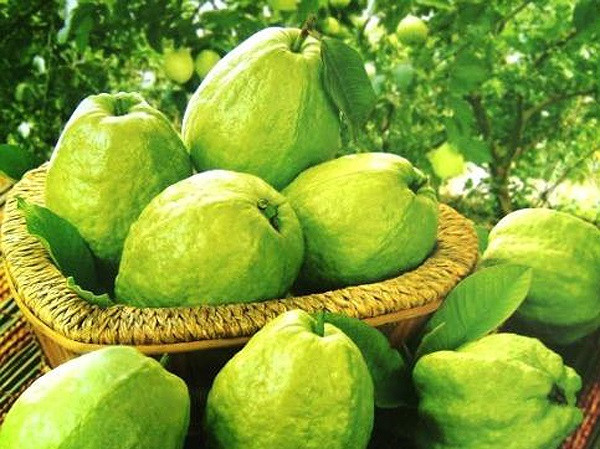 Ảnh minh họa: Internet