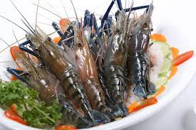 Ảnh minh hoạ: Internet