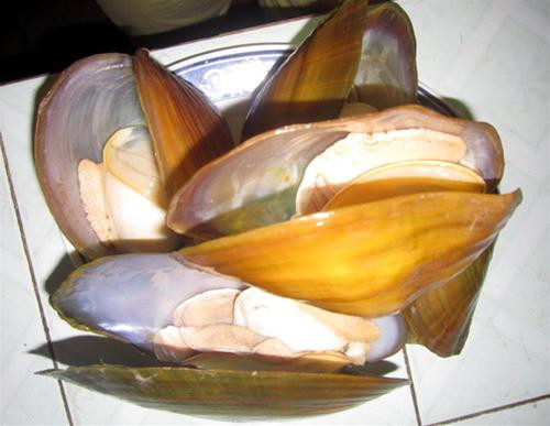 Ảnh minh họa: Internet