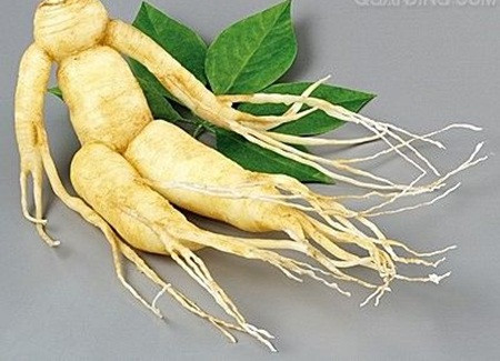 Ảnh minh họa: Internet