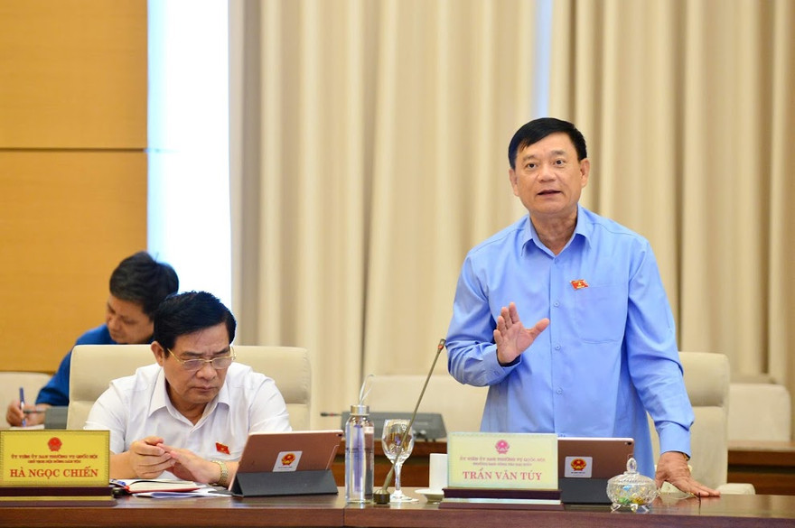 Trưởng ban Công tác đại biểu Trần Văn Túy