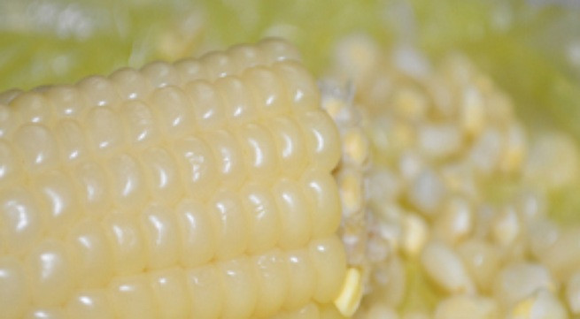 Ảnh minh hoạ: Internet