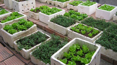 Ảnh minh hoạ: Internet