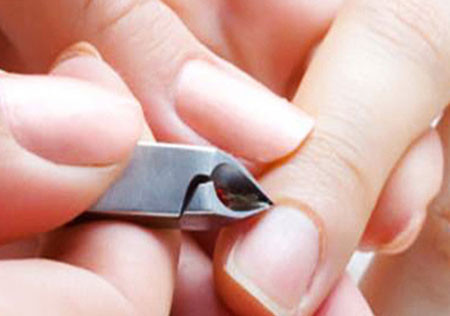 Ảnh minh hoạ: Internet