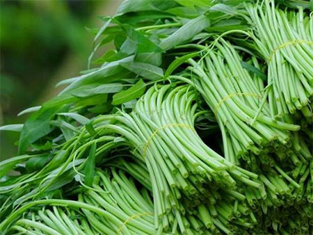 Ảnh minh hoạ: Internet