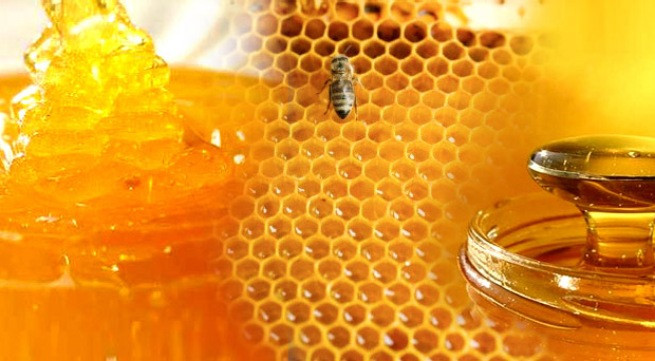 Ảnh minh họa: Internet