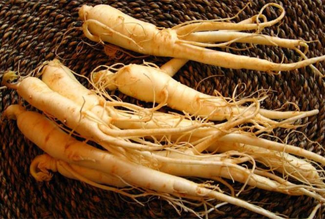 Ảnh minh hoạ: Internet