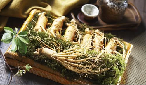 Ảnh minh hoạ: Internet