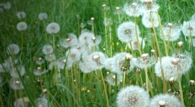 Ảnh minh họa: Internet