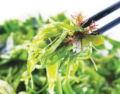 Ảnh minh họa: Internet