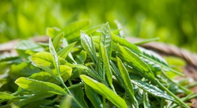 Ảnh minh họa: Internet