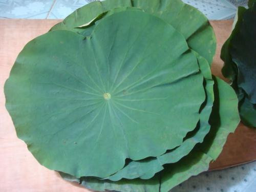 Ảnh minh họa: Internet