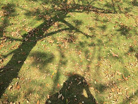 Ảnh minh họa: Internet