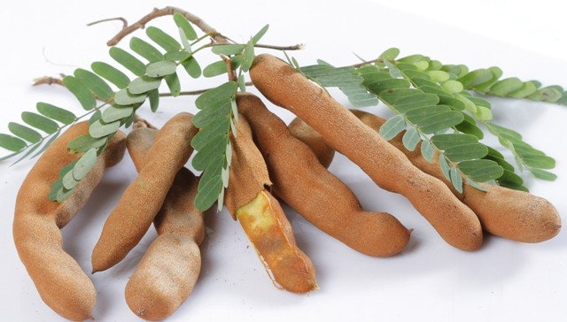 Ảnh minh hoạ: Internet