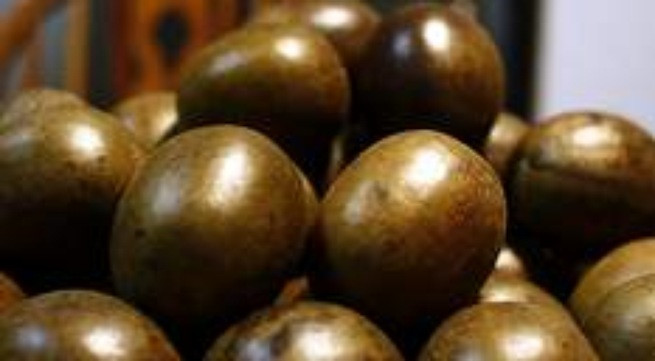 Ảnh minh hoạ: Internet