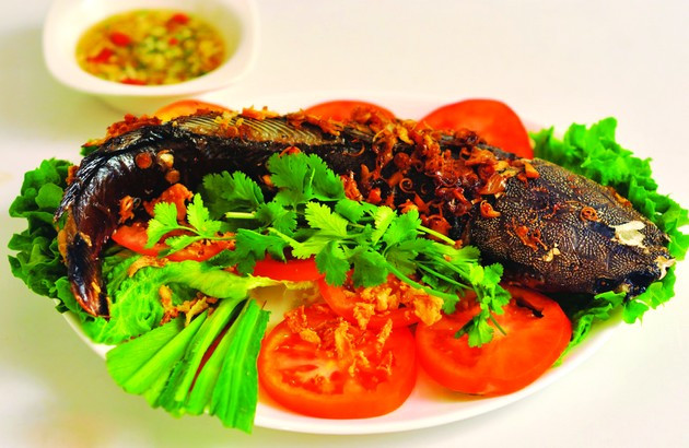 Ảnh minh hoạ: Internet