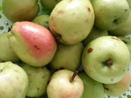 Ảnh minh hoạ: Internet