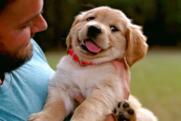 Ảnh minh họa: Internet