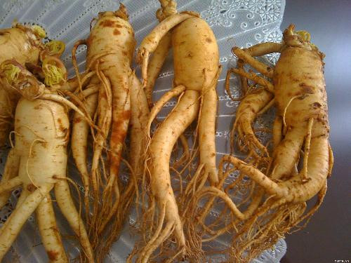 Ảnh minh hoạ: Internet