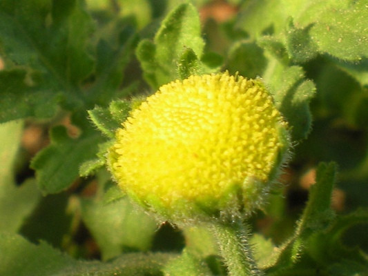 Ảnh minh họa: Internet