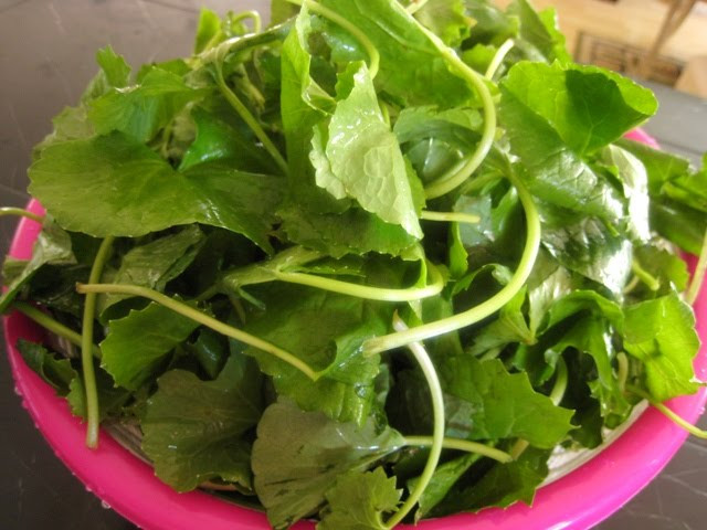 Ảnh minh họa: Internet