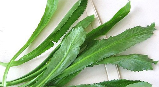 Ảnh minh họa: Interent