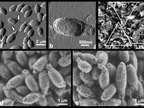 Ảnh minh họa: Internet