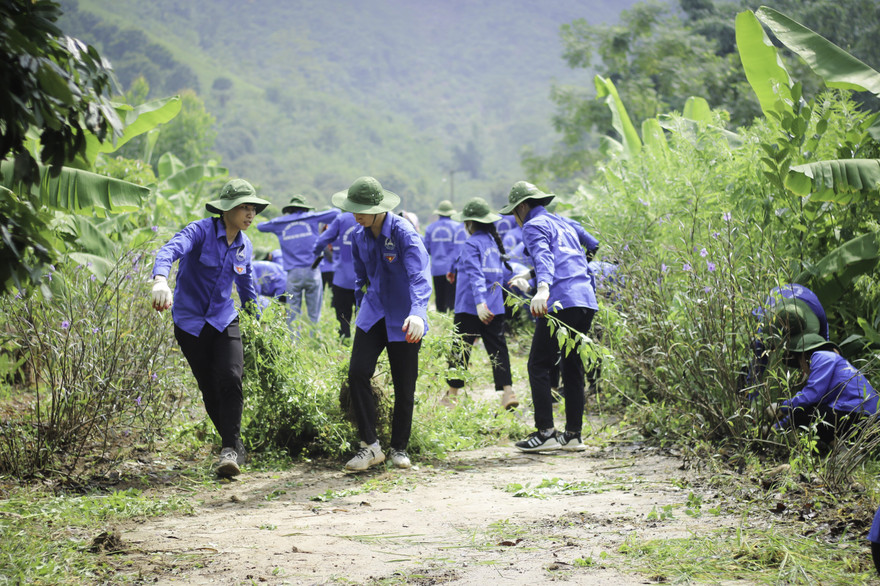 Nhiều sáng tạo trong Chiến dịch Thanh niên tình nguyện Hè 2020