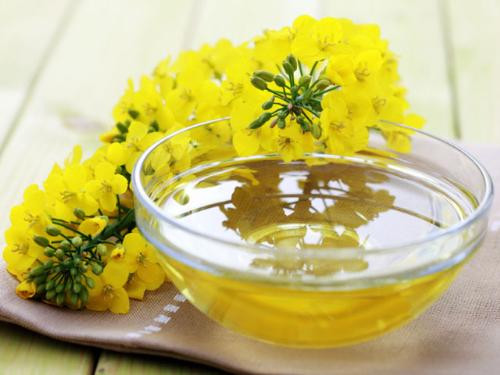 Ảnh minh họa: Internet