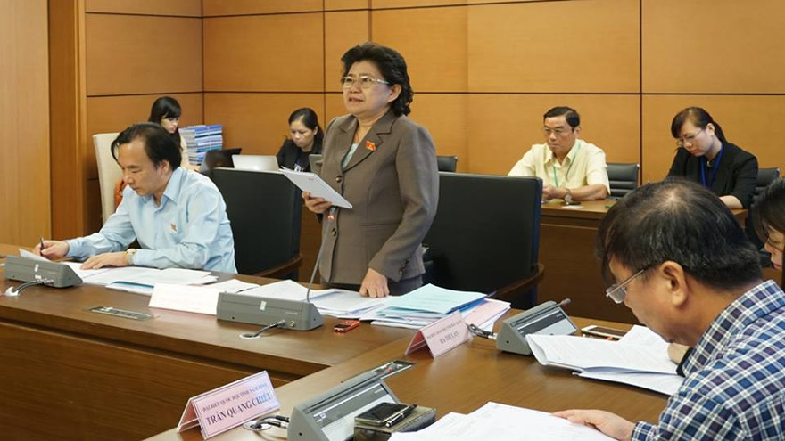 Đại biểu Hoàng Thị Hoa (Bắc Giang) 