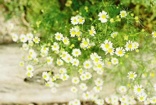 Ảnh minh hoạ: Internet