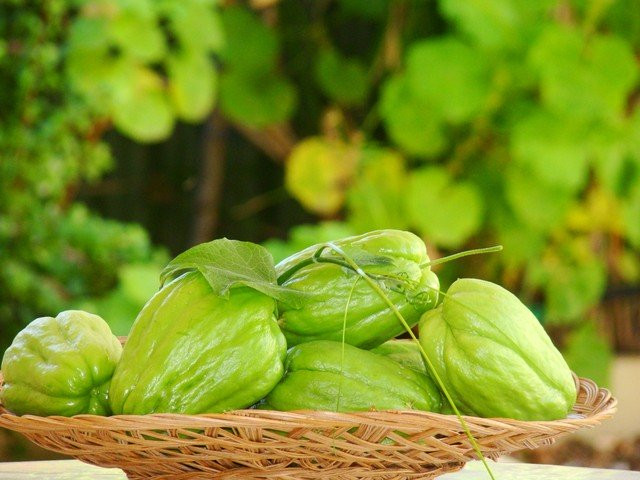 Ảnh minh hoạ: Internet