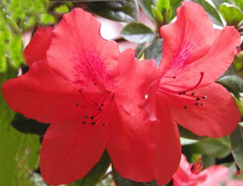 Ảnh minh hoạ: Internet