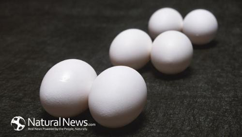 Ảnh minh hoạ: Internet