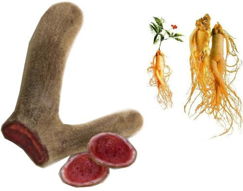 Ảnh minh hoạ: Internet