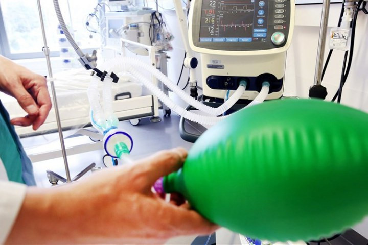 Ảnh minh họa: Internet