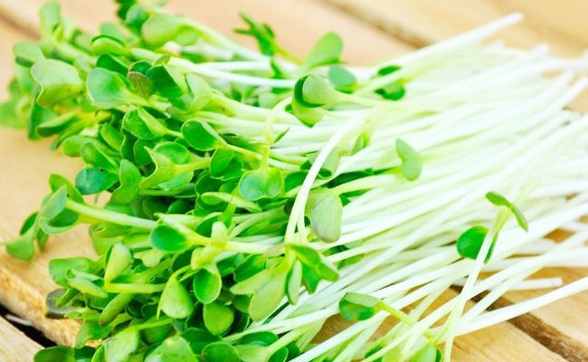 Ảnh minh họa: Internet