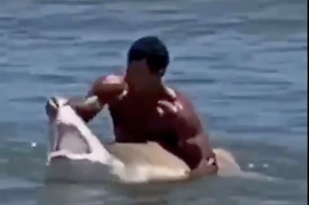 Người đàn ông này đã dùng tay bắt cá mập và banh mồm nó ra để chụp ảnh tạo dáng.