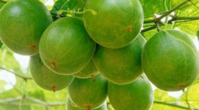 Ảnh minh họa: Internet