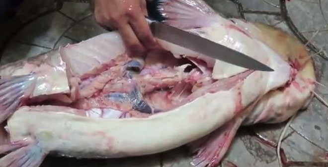 Ảnh minh họa: Internet